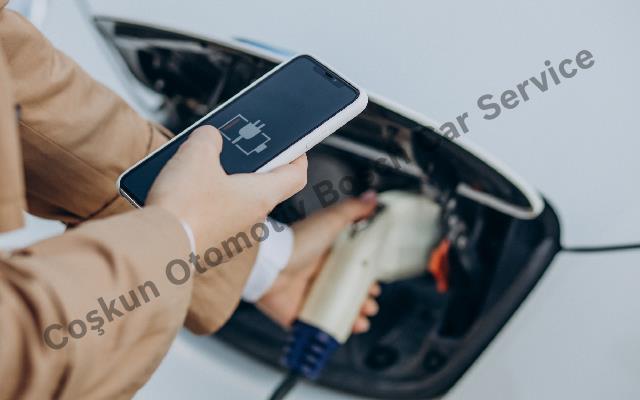 Electric Vehicle Service