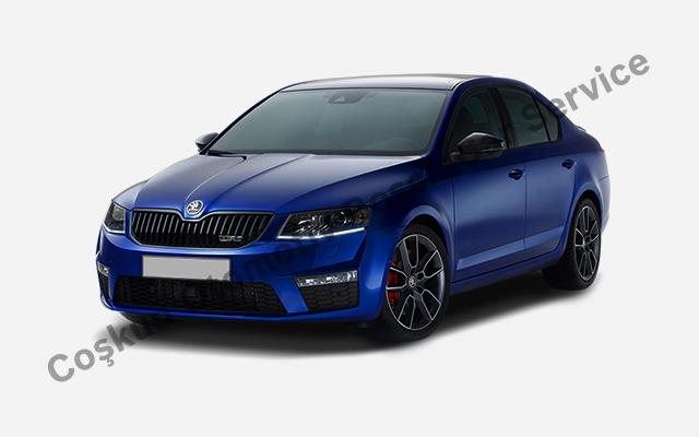 Mersin Skoda Service Special Services