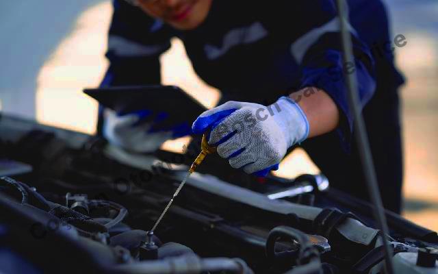 Oil & Filter Change